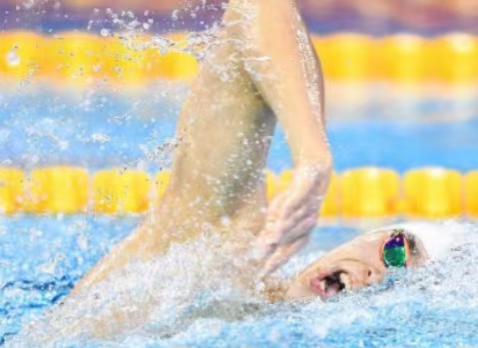 国际泳联冠军游泳系列赛（昭通站）