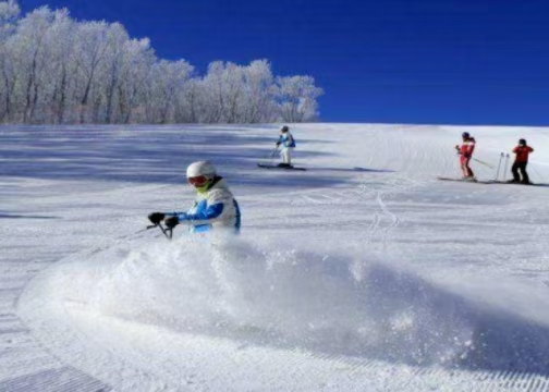 国务院办公厅关于以冰雪活动高质量发展引发冰雪经济活力的若干定见