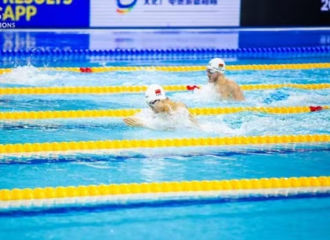 2020年FINA冠军游泳系列赛（丽江站）