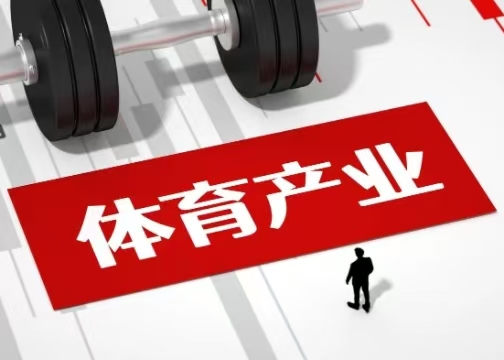 体育经济，，，，，，，为什么会成为下一个风口？？？？？？？
